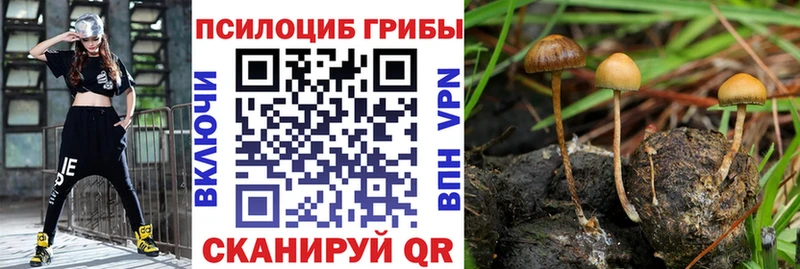 Псилоцибиновые грибы GOLDEN TEACHER  Богданович 