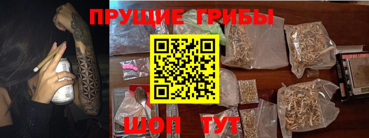 Псилоцибиновые грибы MAGIC MUSHROOMS Богданович