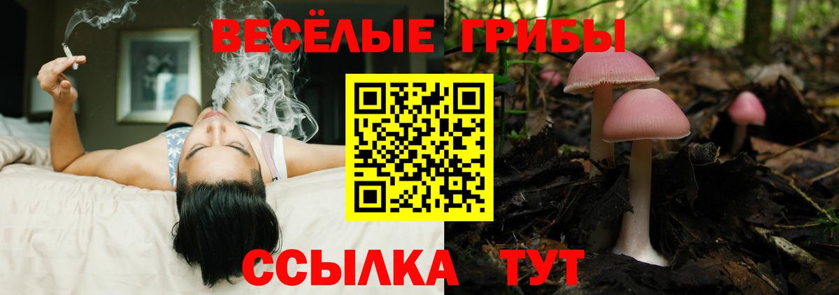 Псилоцибиновые грибы ЛСД  Галлюциногенные грибы мицелий  Богданович  где продают   Вход с VPN 