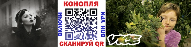 Канабис сатива  даркнет сайт  Богданович 